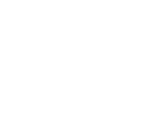wise-wellness-org